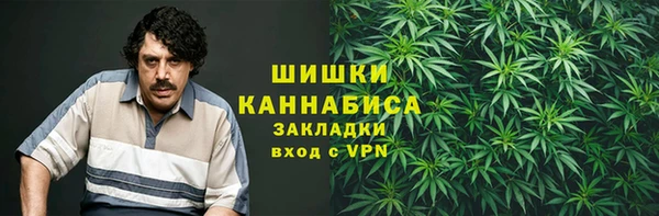 сатива Богданович